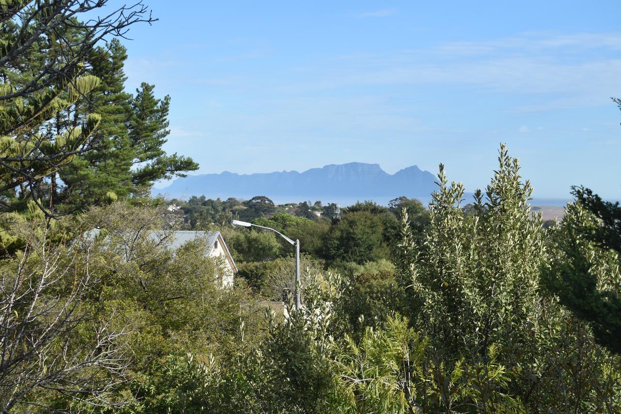 Almond Cottage Bed & Breakfast Somerset West Exterior foto