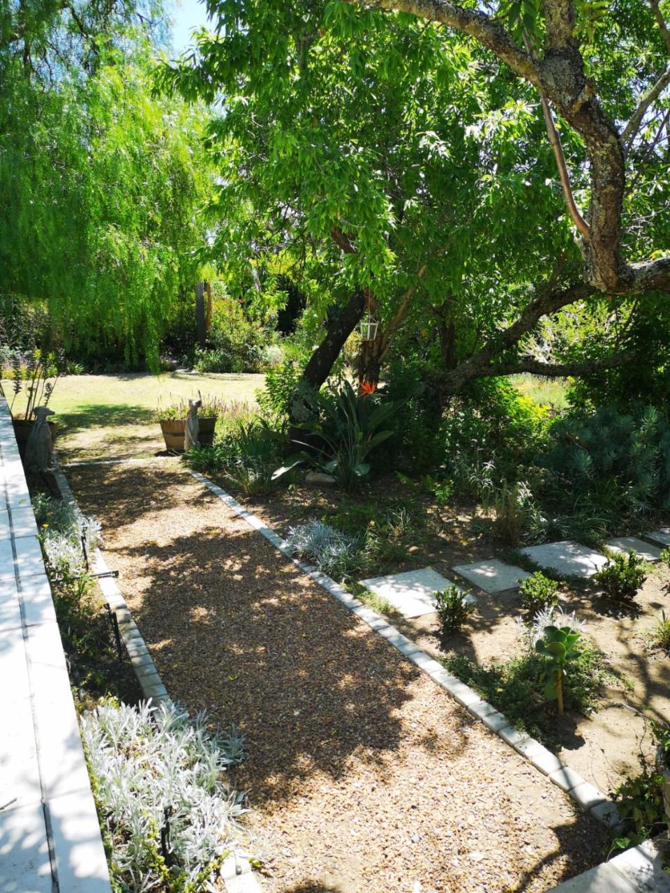 Almond Cottage Bed & Breakfast Somerset West Exterior foto