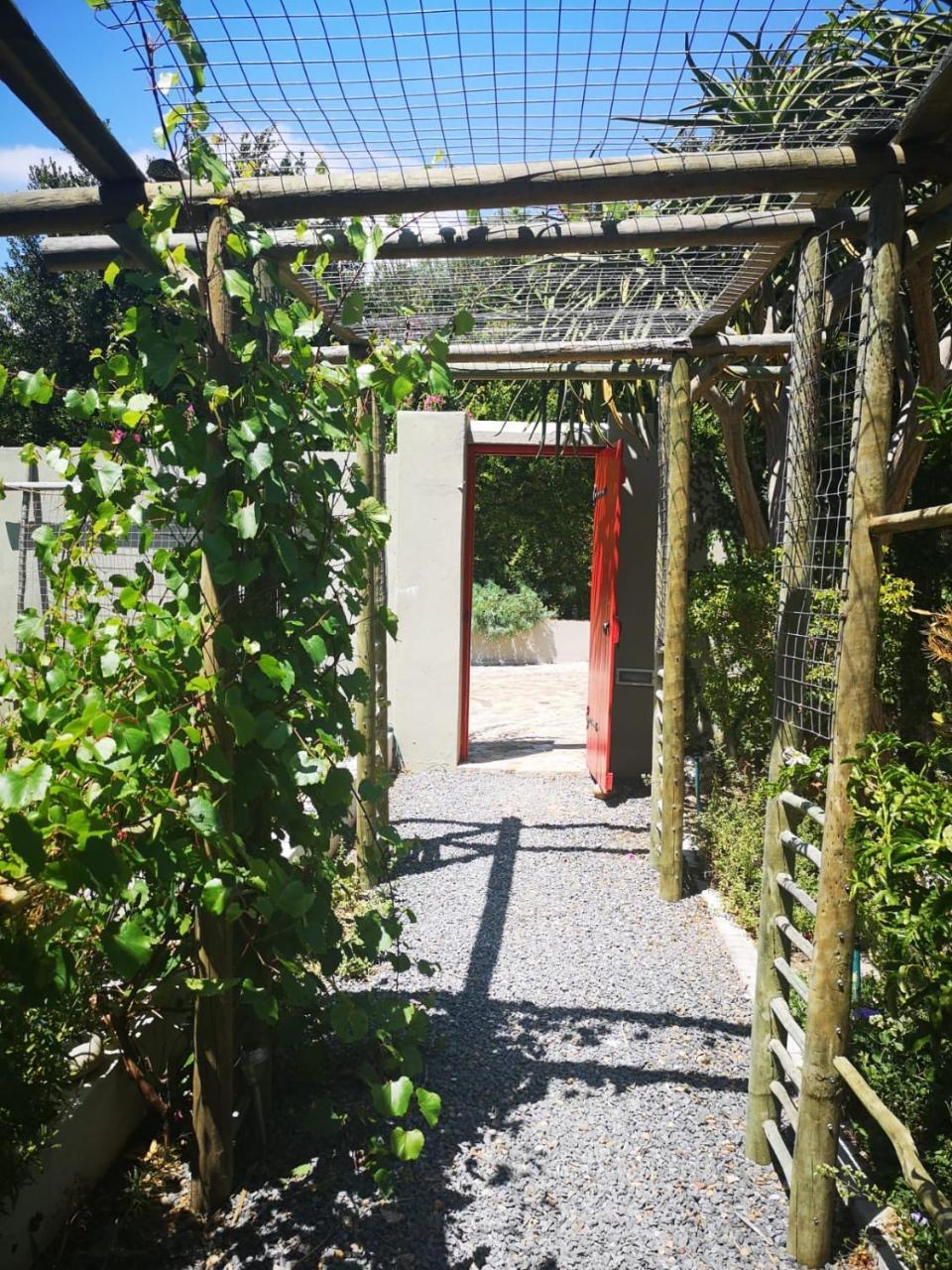 Almond Cottage Bed & Breakfast Somerset West Exterior foto